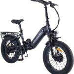 20F213 Electric Bicycle 20 Inch E-Bike, 36 V 14.5 Ah Removable Battery, 250 W Motor, LCD Display, 7 Speed, Range 80 km, 25 km/h, IPX5 Waterproof for Adults