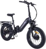 20F213 Electric Bicycle 20 Inch E-Bike, 36 V 14.5 Ah Removable Battery, 250 W Motor, LCD Display, 7 Speed, Range 80 km, 25 km/h, IPX5 Waterproof for Adults
