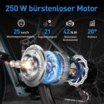 E-Bike 26 Inch with 21 Speed Gears 250 W Motor 13 Ah Battery Top Speed 25 km/h High Carbon Steel Frame LCD Display City Electric Bicycle